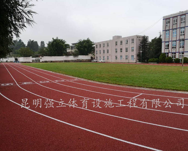 白漢場中心學(xué)校塑膠跑道工程