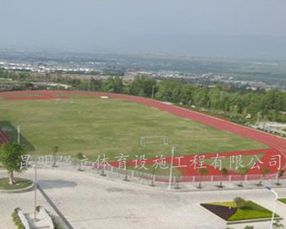 大理州財貿學校400米塑膠跑道工程