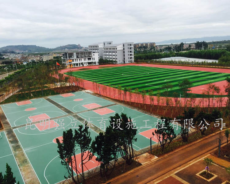 大漁中學運動場建設項目